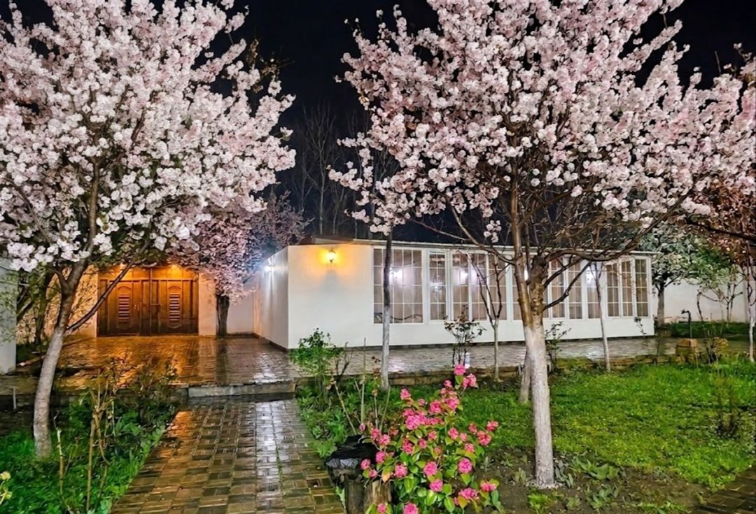 İcarəyə verilir 4 otaqlı həyət evi/bağ evi 255 m² — Ev, villa, İsmayıllı (6)