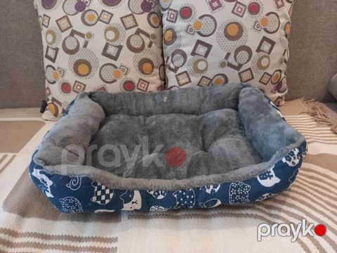 Yastıq itlər üçün — Bakı