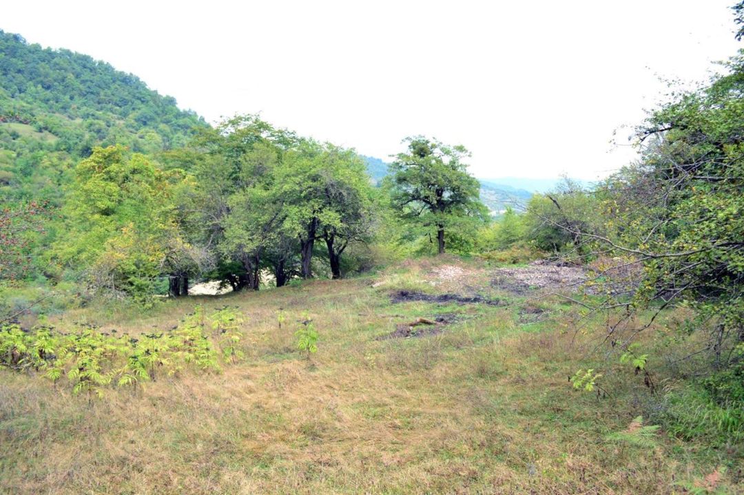 Satılır torpaq 80 sot — Torpaq, Quba (12)