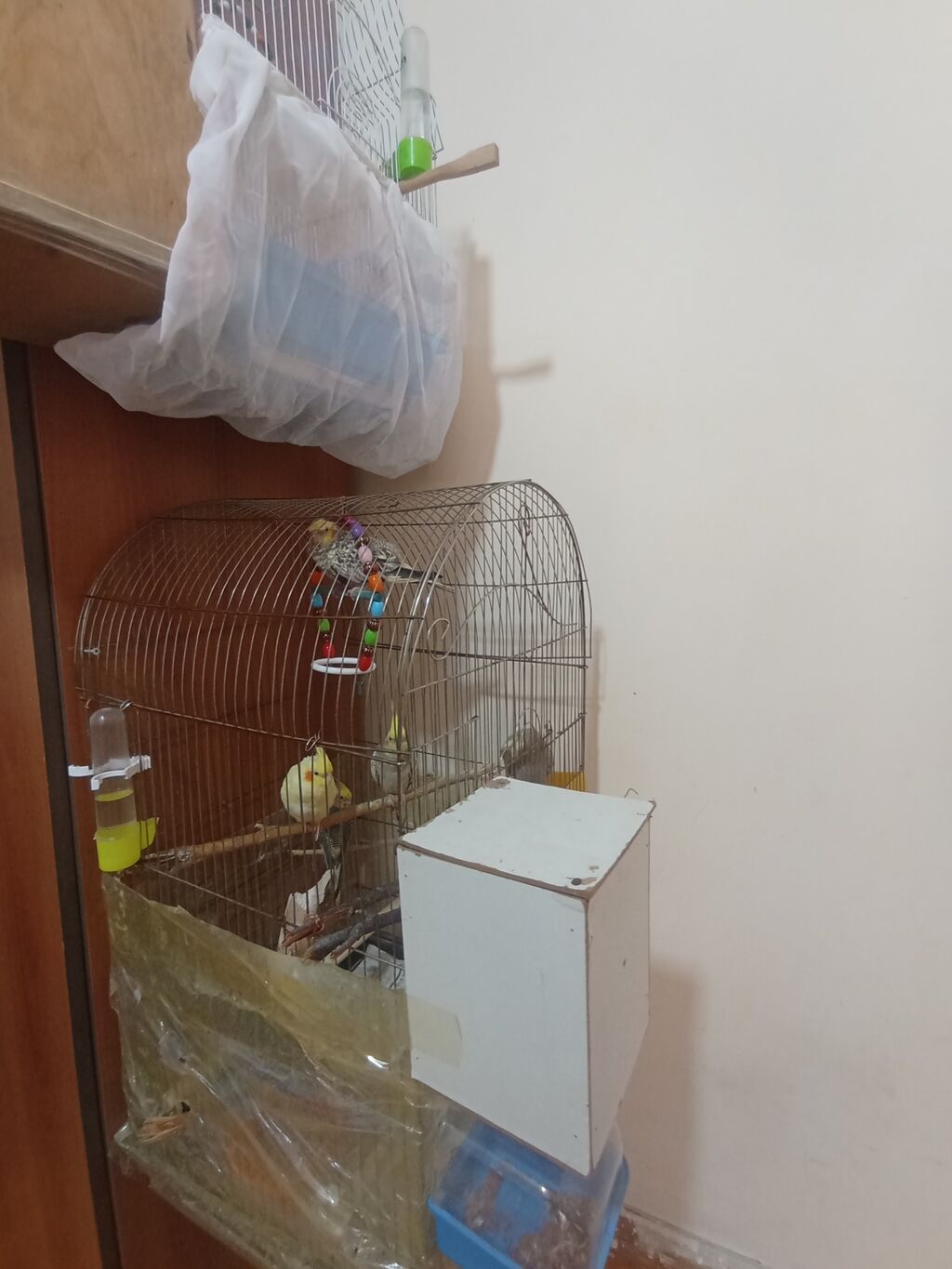 Iki ədəd qəfəs yem qablar su qablari ağılı yem qabı yuvaları qəfəs — Qəfəslər, Digah