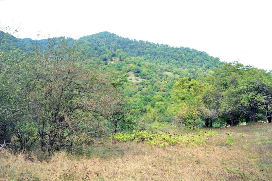 Satılır torpaq 80 sot — Torpaq, Quba (3)
