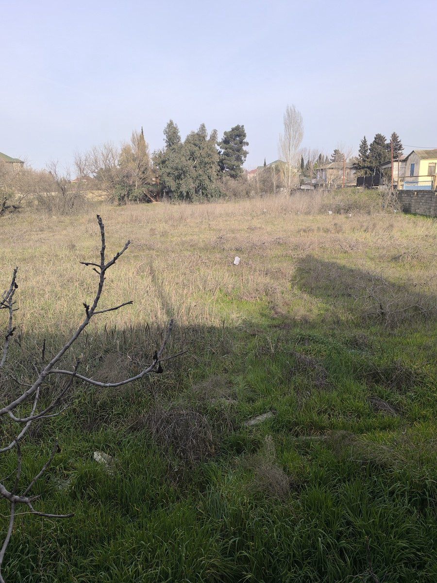 Satılır torpaq 41 sot — Torpaq, Bakı (5)