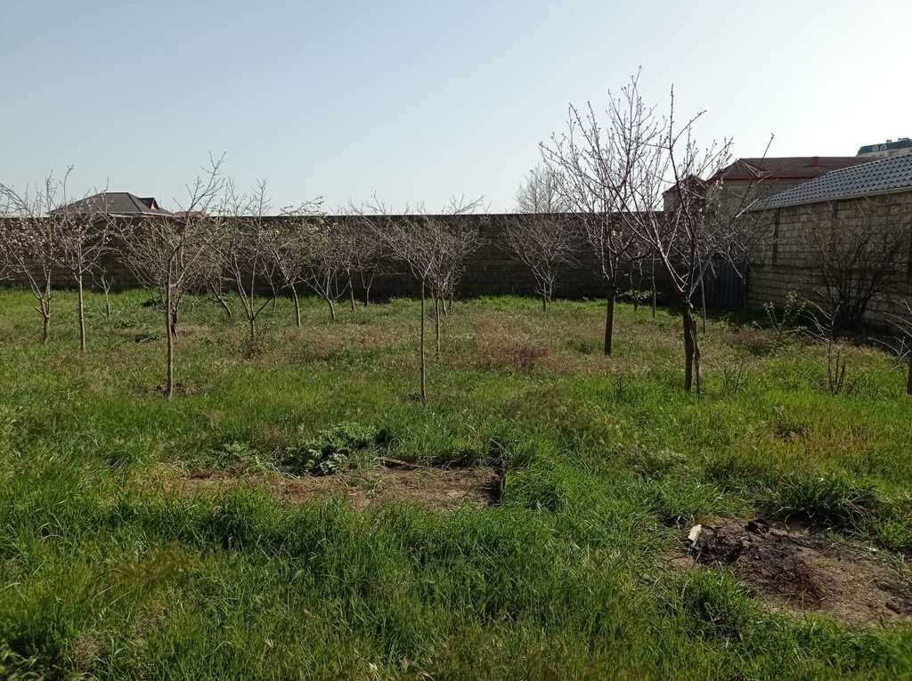 Satılır torpaq 8 sot — Torpaq, Bakı (9)