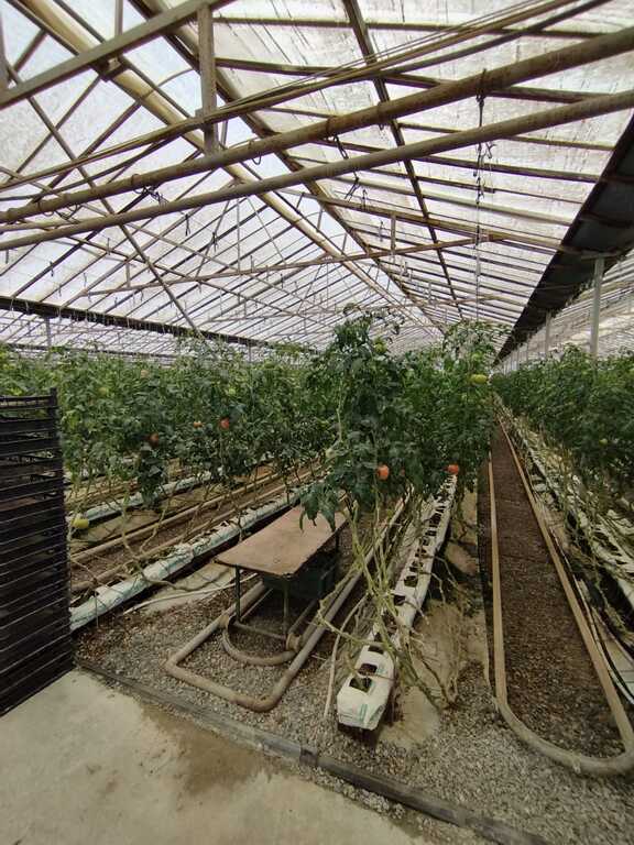 Satılır obyekt 220000 m² — Əmlak, Bakı (4)