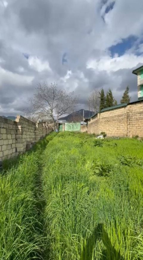 Satılır torpaq 10 sot — Qəbələ