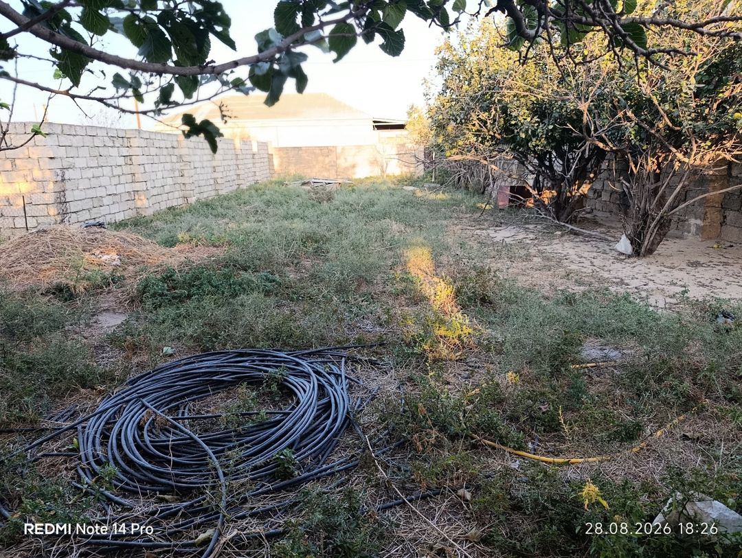 Satılır torpaq 2 sot — Torpaq, Bakı (5)