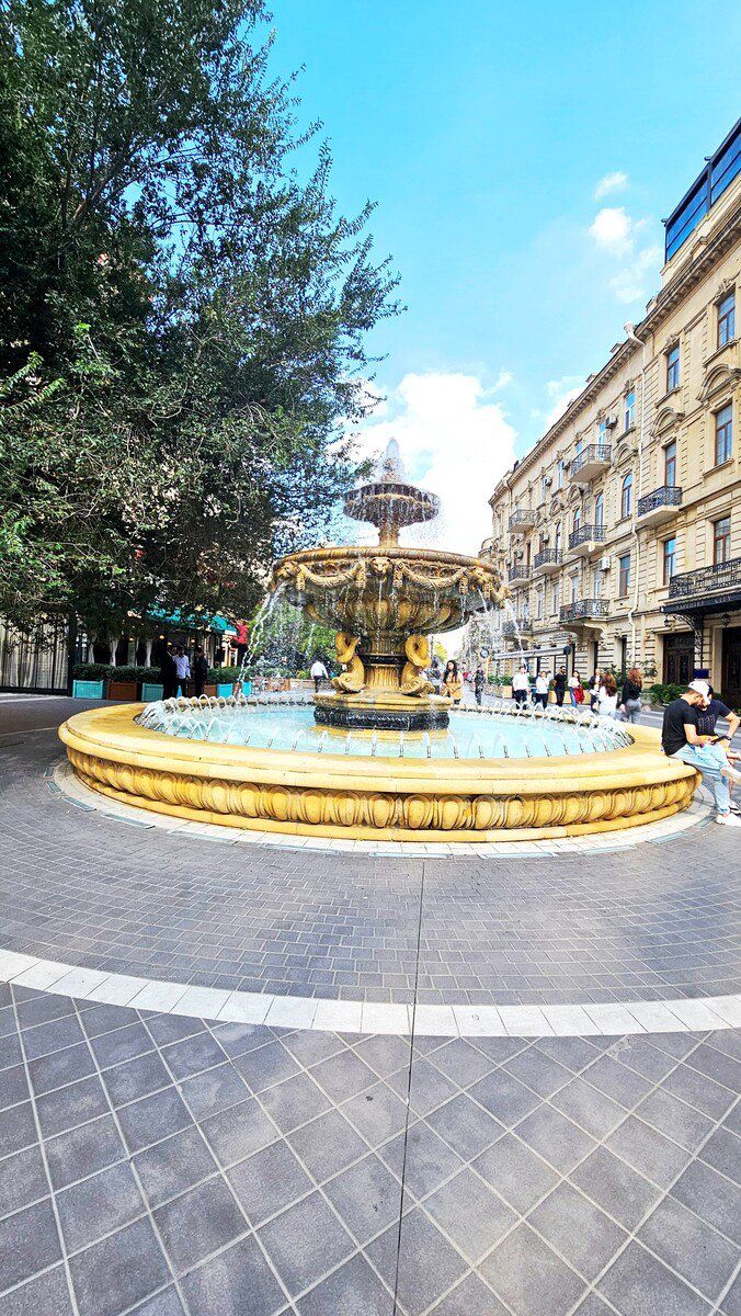 Satılır 4 otaqlı yeni tikili 215 m² — Mənzil, Bakı (8)