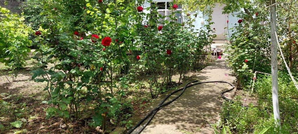 Satılır torpaq 8.2 sot — Torpaq, Bakı (5)