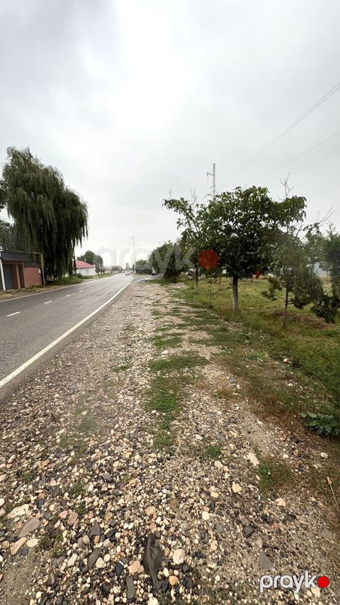 Biznes üçün