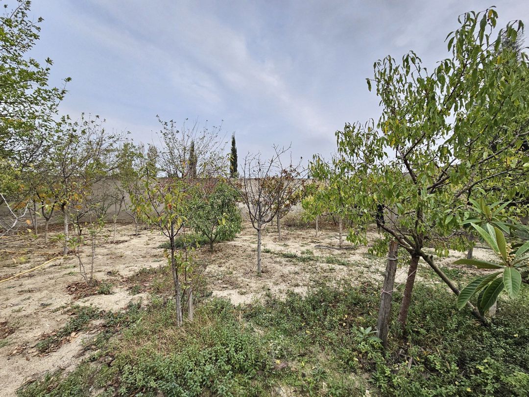 Satılır 5 otaqlı həyət evi/bağ evi 190 m² — Ev, villa, Bakı (12)