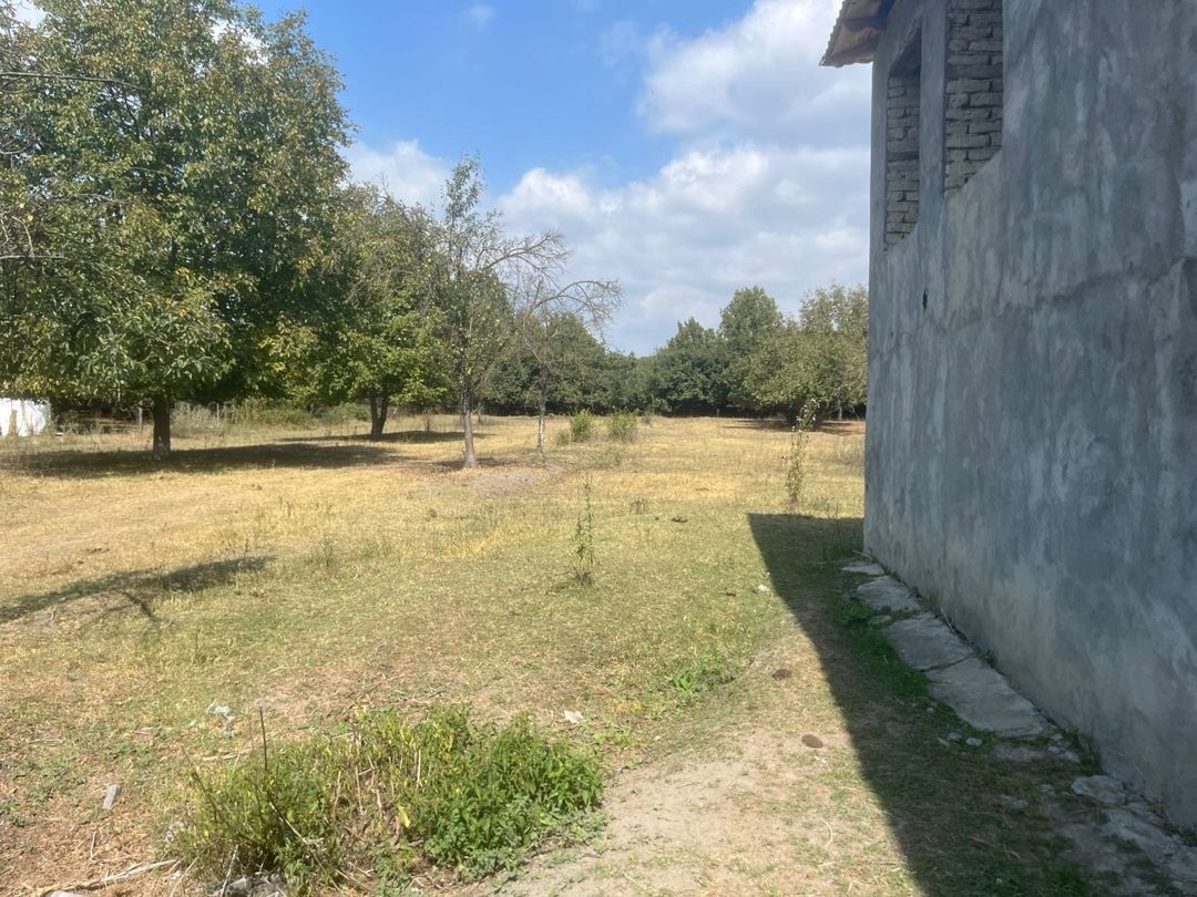 64 sot torpaq sahəsi, Qəbələ r — Torpaq, Bakı (3)