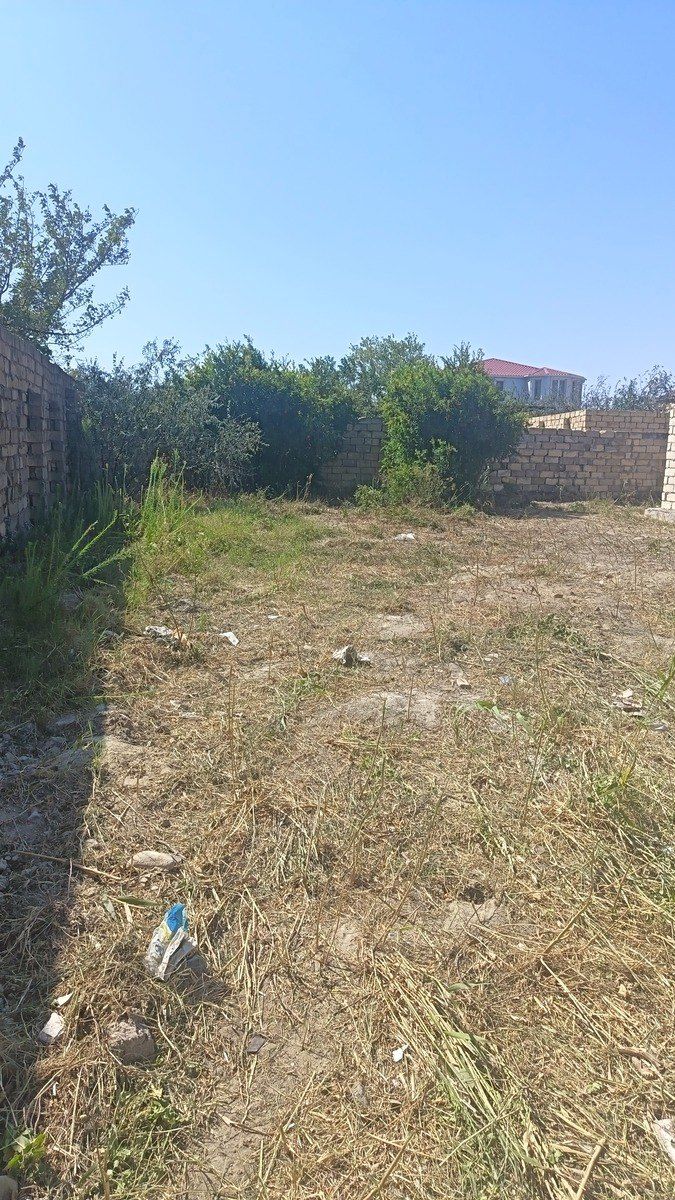 Satılır torpaq 5.5 sot — Torpaq, Bakı (4)