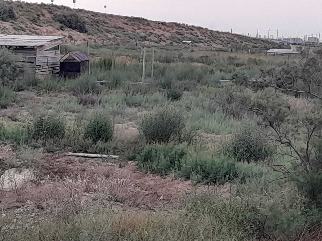 10 sot torpaq sahəsi, Sumqayıt ş — Torpaq, Sumqayıt (6)