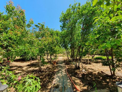 Satılır 5 otaqlı həyət evi/bağ evi 190 m² — Bakı