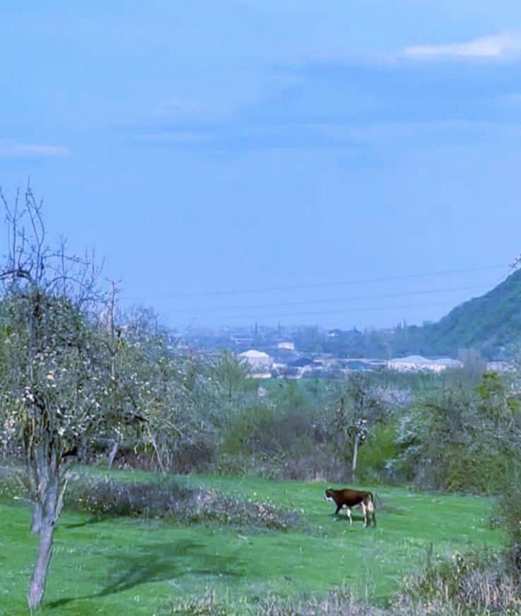 127 sot torpaq sahəsi, Quba r — Torpaq, Quba (3)