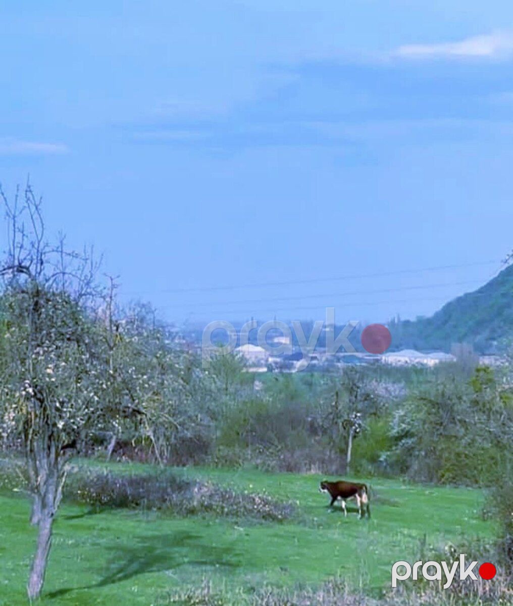 127 sot torpaq sahəsi, Quba r — Torpaq, Quba (3)