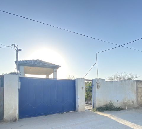 Satılır torpaq 21.5 sot — Sumqayıt