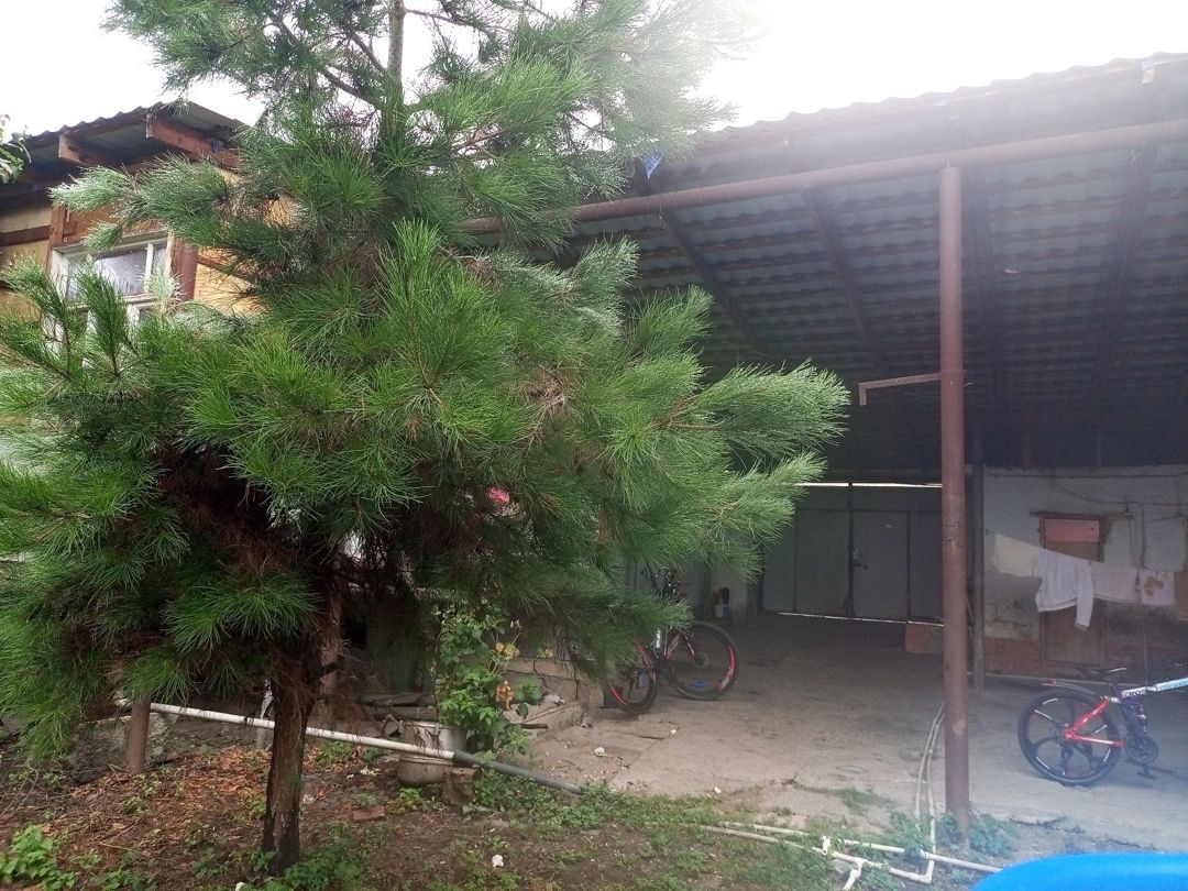 4 sot torpaq sahəsi, Quba r — Torpaq, Quba (3)