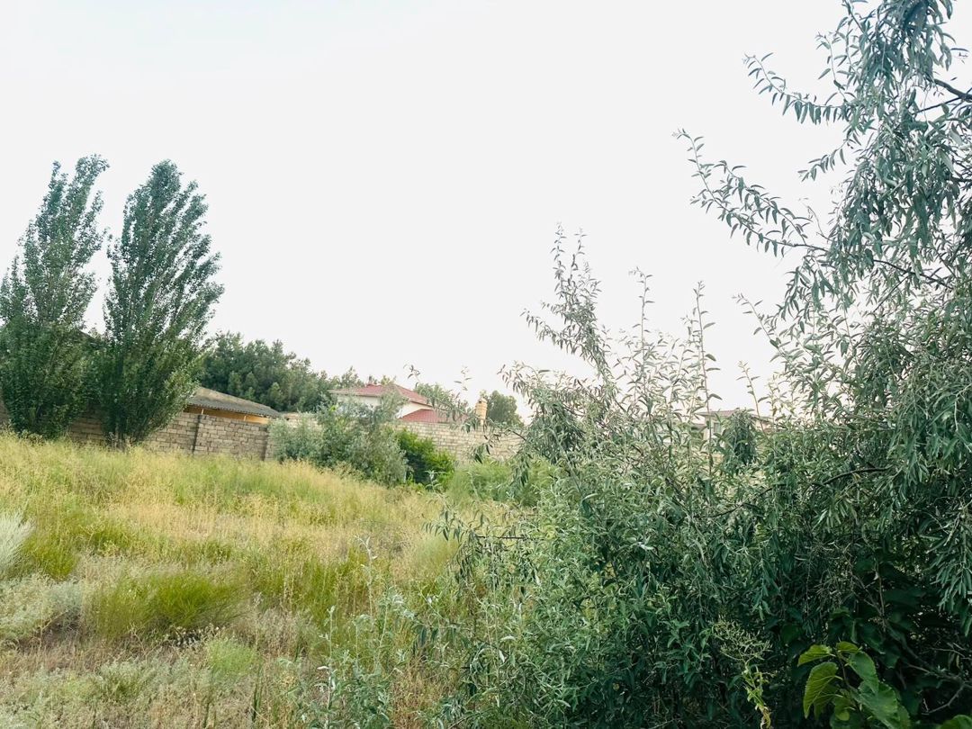 Satılır torpaq 10 sot — Torpaq, Bakı (3)