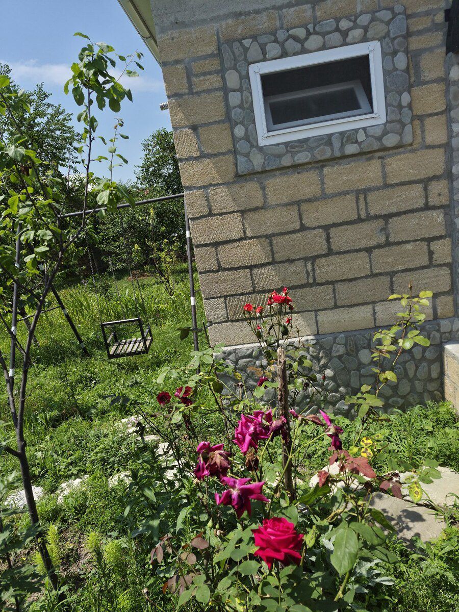 Həyət evi kirayə verilir, İsmayıllı r — Ev, villa, İsmayıllı (8)