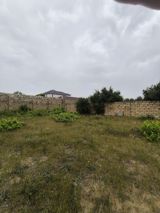 Satılır torpaq 500 sot — Nigar xanim — Torpaq sahəsi