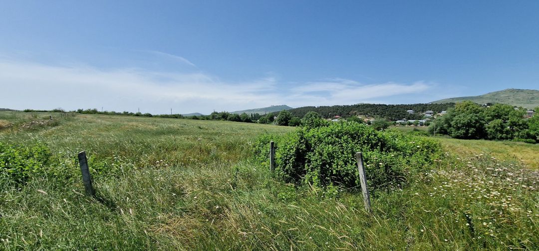 Satılır torpaq 226 sot — Torpaq, Şamaxı (4)