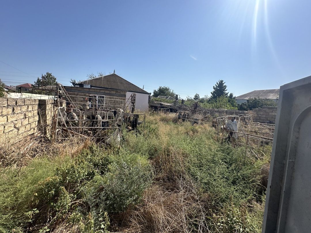Satılır torpaq 3 sot — Torpaq, Bakı (5)