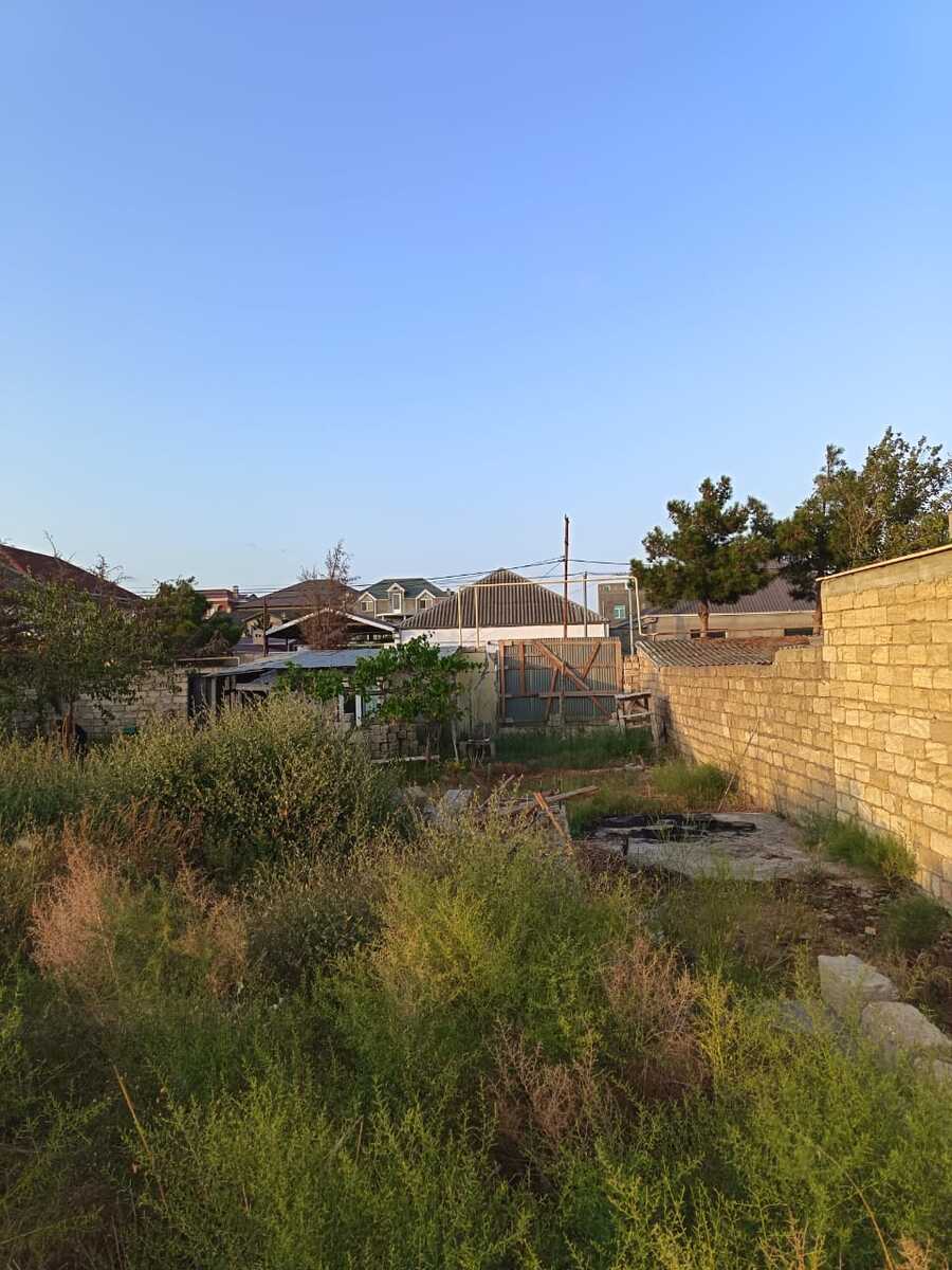 Satılır torpaq 6 sot — Torpaq, Bakı (11)