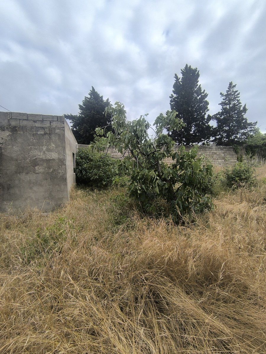 Satılır torpaq 12 sot — Torpaq, Bakı (3)