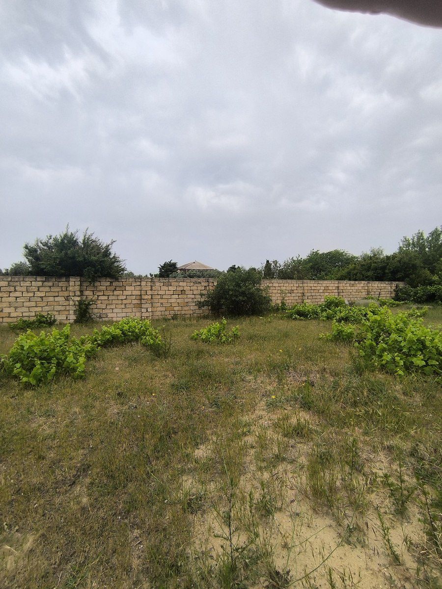 Satılır torpaq 500 sot — Torpaq, Bakı (2)