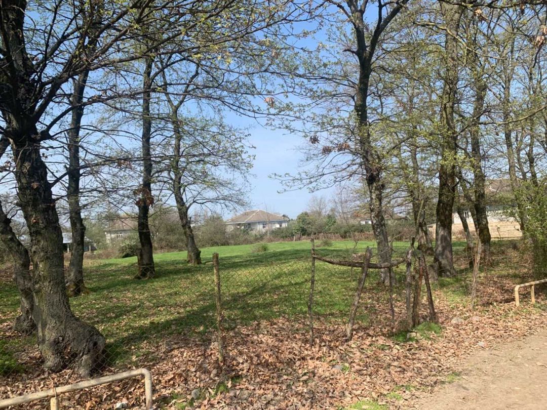 Satılır torpaq 45 sot — Torpaq, Lənkəran (4)