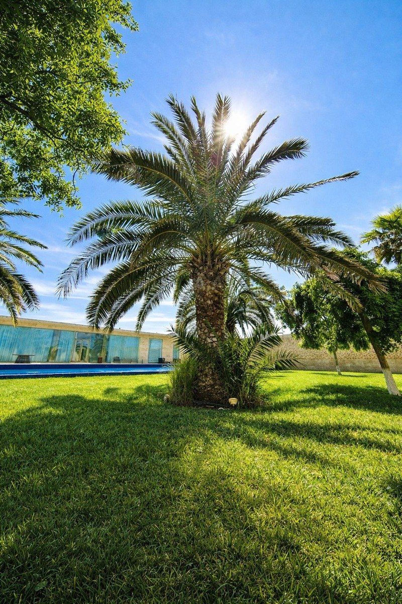 İcarəyə verilir 4 otaqlı həyət evi/bağ evi 240 m² — Ev, villa, Bakı (4)