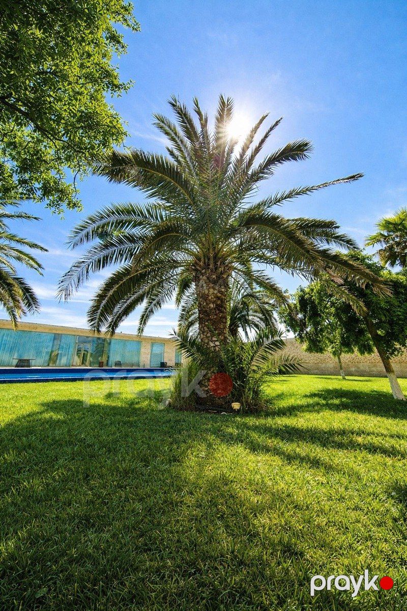 İcarəyə verilir 4 otaqlı həyət evi/bağ evi 240 m² — Ev, villa, Bakı (4)