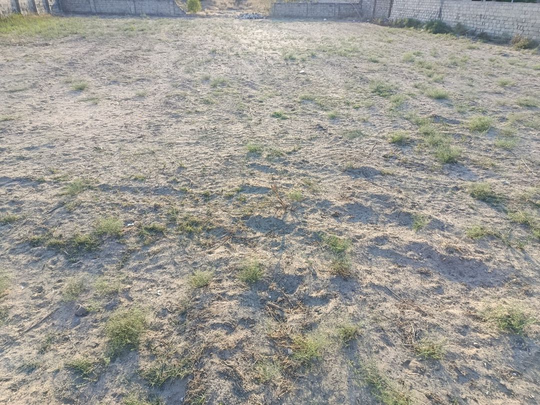 Satılır torpaq 12 sot — Torpaq, Bakı (5)