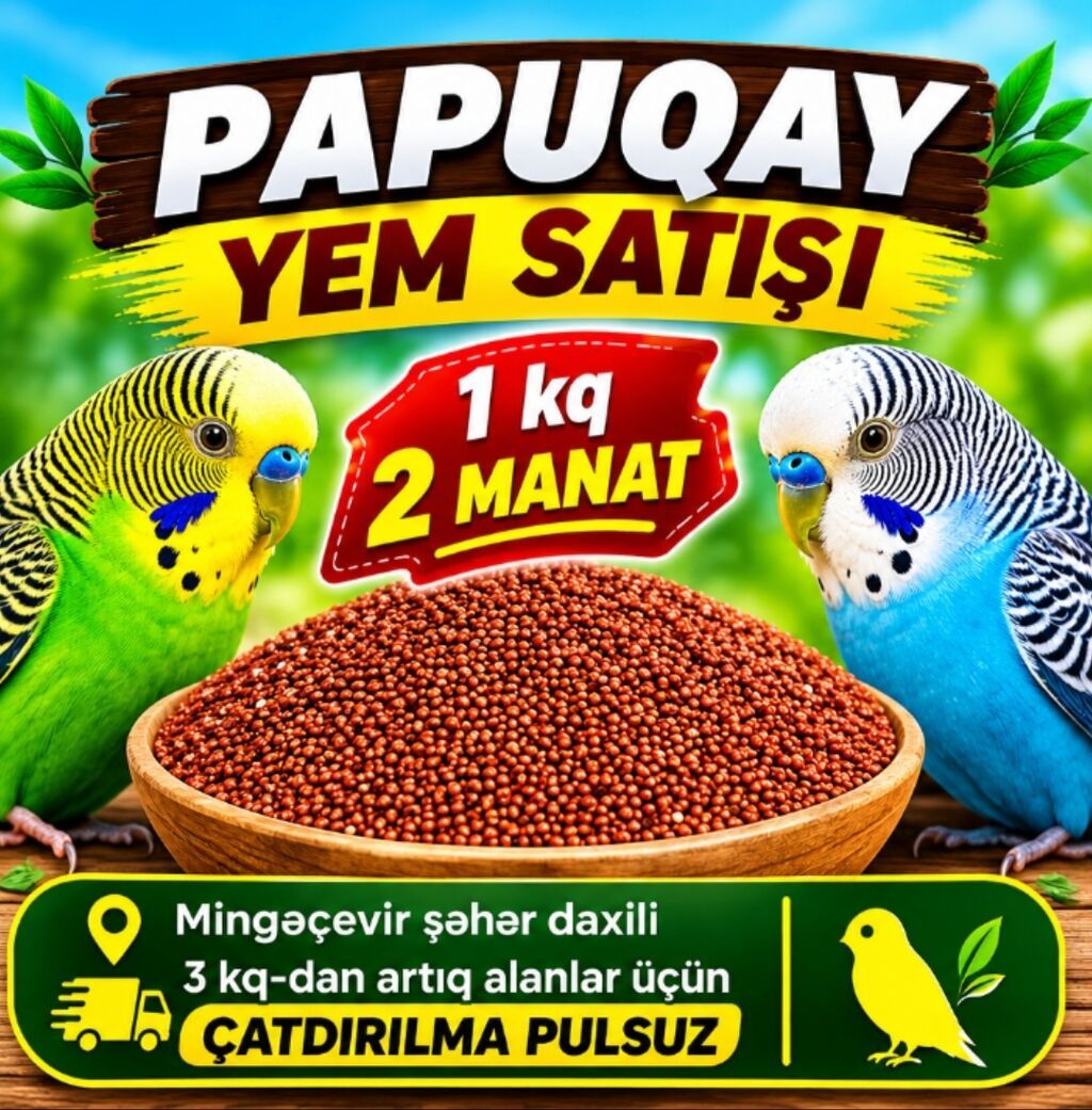 Məhsul: Papuqay yemləri - Təzə və xırdalanmamış dənlər, gündəlik — Heyvanlar, Mingəçevir