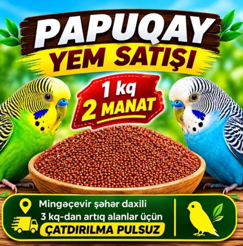 Məhsul: Papuqay yemləri - Təzə və xırdalanmamış dənlər, gündəlik — Mingəçevir