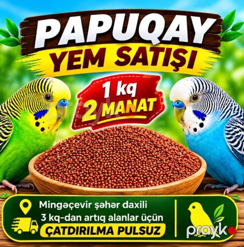 Məhsul: Papuqay yemləri - Təzə və xırdalanmamış dənlər, gündəlik — Mingəçevir