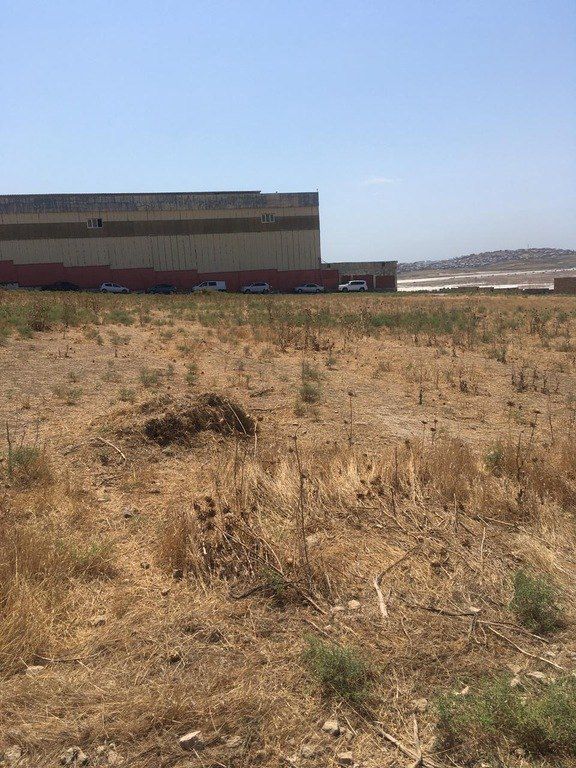 Satılır torpaq 56 sot — Torpaq, Bakı (5)