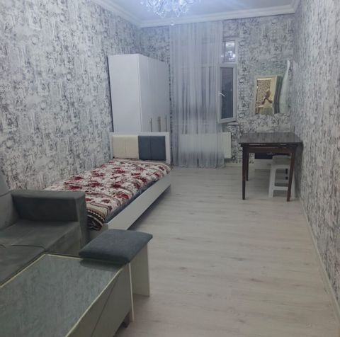 110 kv. m, 2 otaqlı, Kombi, Qaz, İşıq — Masazır