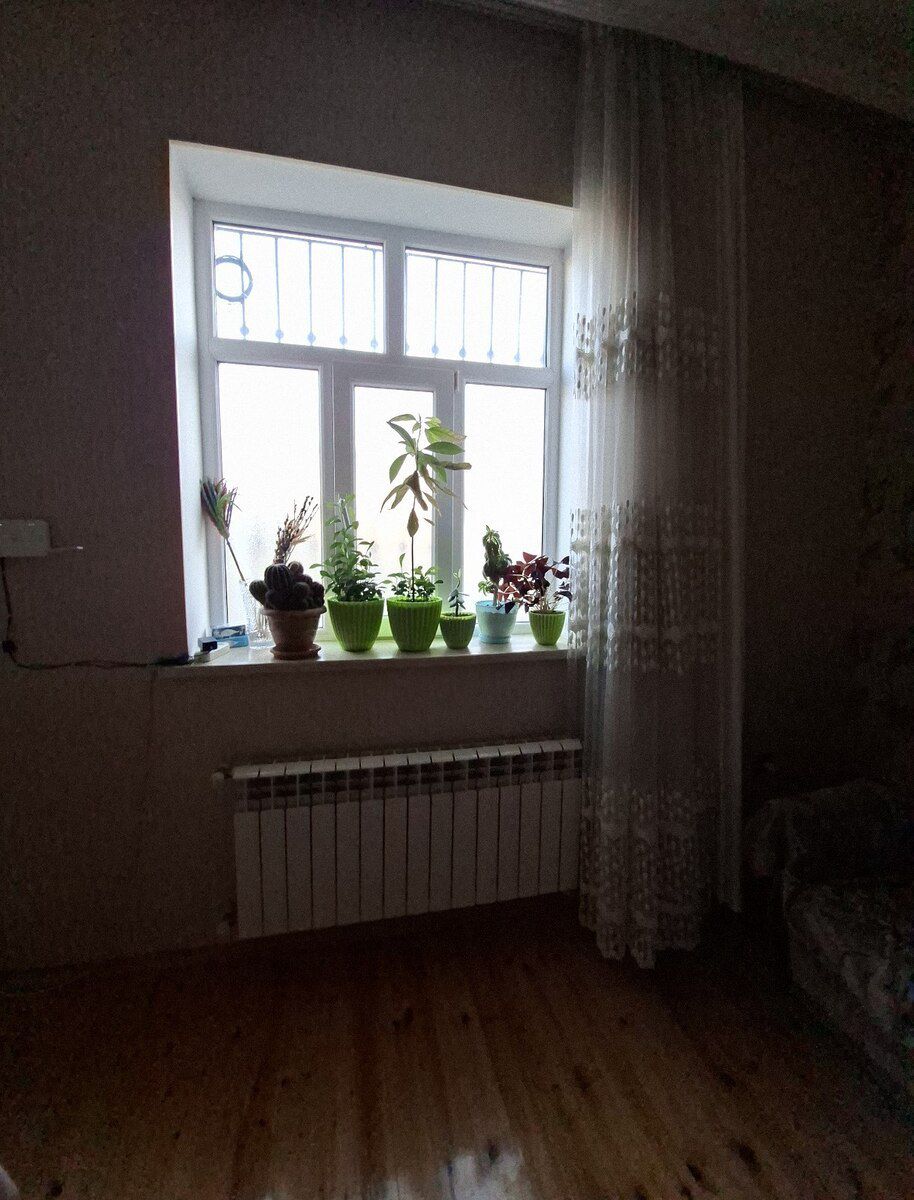Həyət evi, Y. Ramana qəs — Ev, villa, Bakı (3)