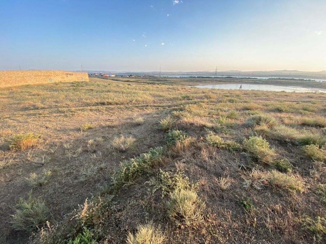 10 sot torpaq sahəsi, Saray qəs — Torpaq, Bakı (2)