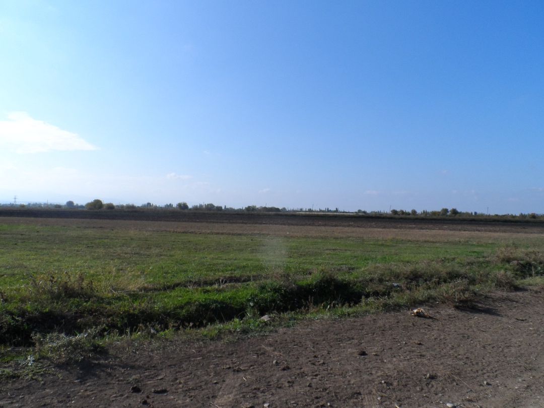 Satılır torpaq 646 sot — Torpaq, Şəmkir (3)
