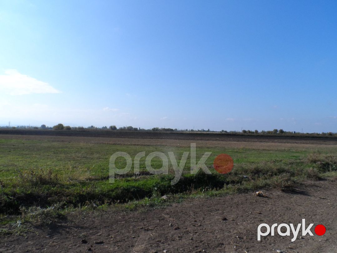 Satılır torpaq 646 sot — Torpaq, Şəmkir (3)