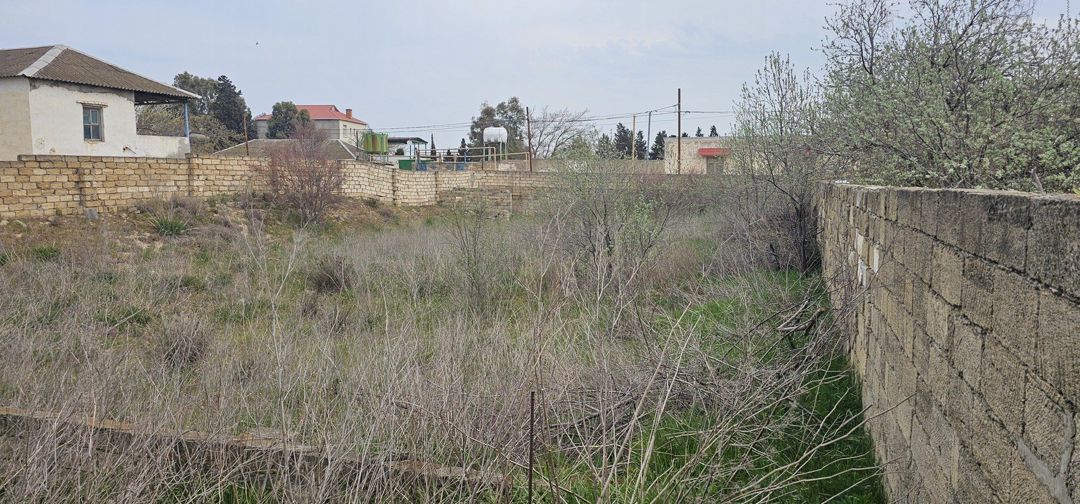 Satılır torpaq 10 sot — Torpaq, Bakı (4)