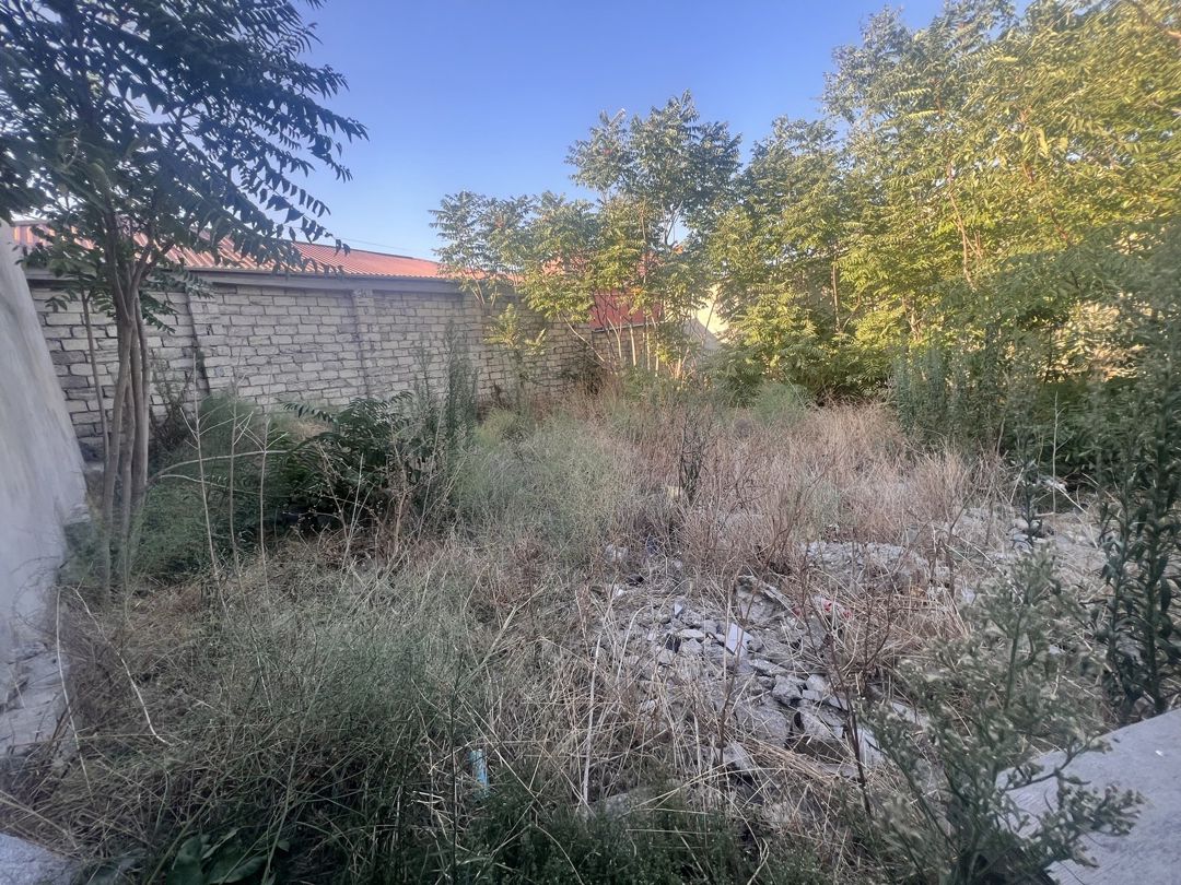 Satılır torpaq 2 sot — Torpaq, Bakı (4)