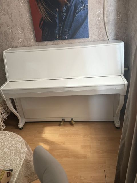 Akkord şaquli pianino – ağ rəngdə, klassik dizayn. - Korpus: parlaq — Masazır