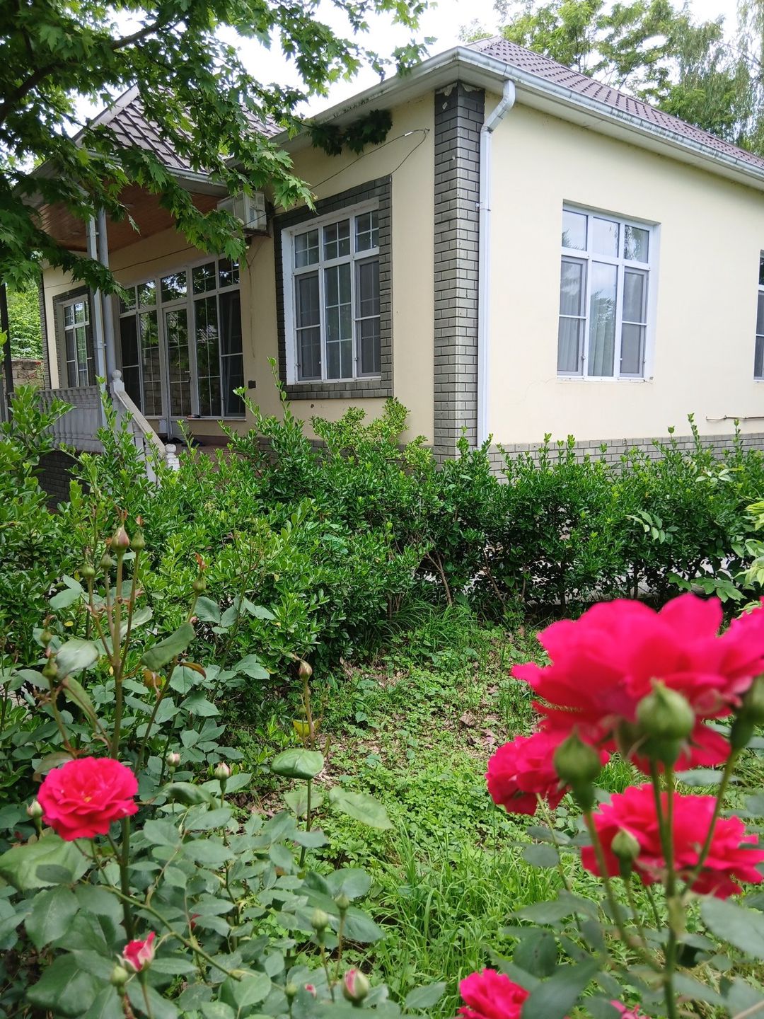 İcarəyə verilir 4 otaqlı həyət evi/bağ evi 90 m² — Ev, villa, Quba (2)
