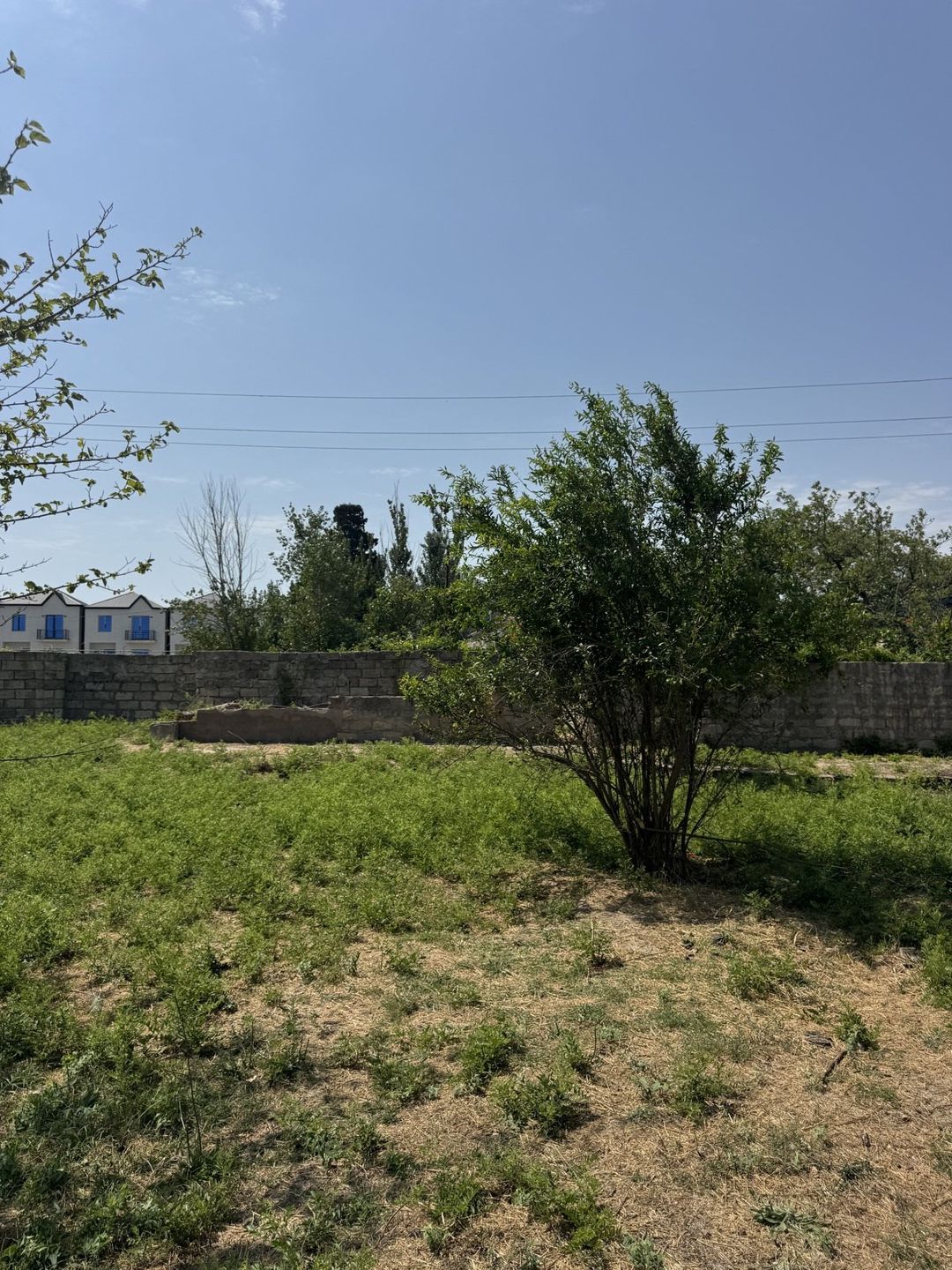 Satılır torpaq 400 sot — Torpaq, Bakı (2)