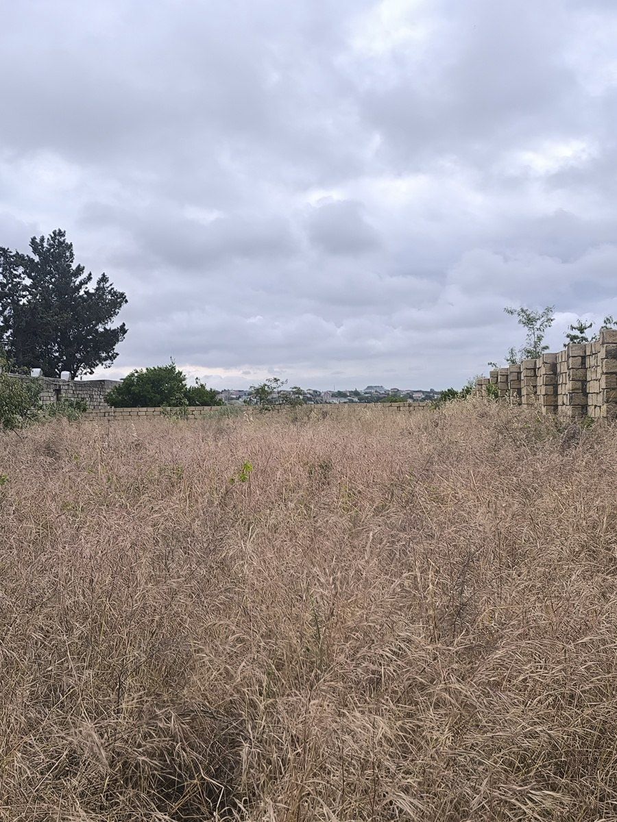 Satılır torpaq 12 sot — Torpaq, Bakı (12)