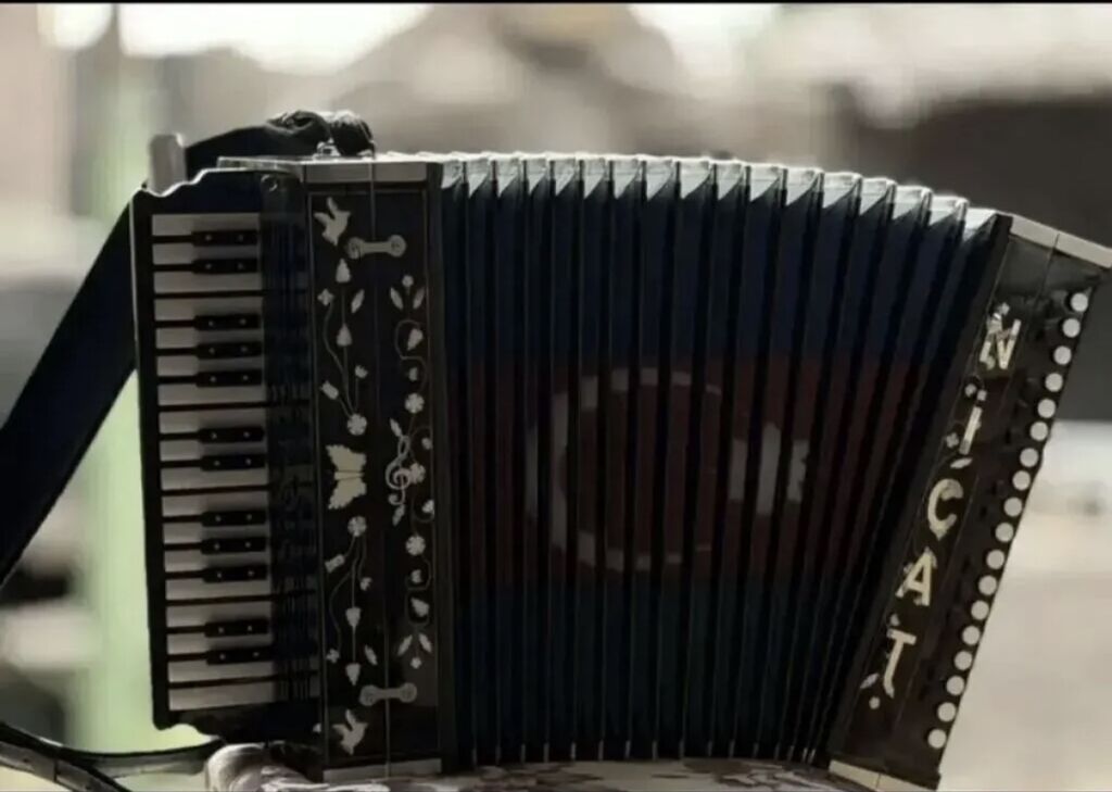 satilir — Musiqiə alətləri, Digah (2)